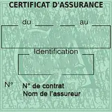 Vignette verte d'assurance véhicule.